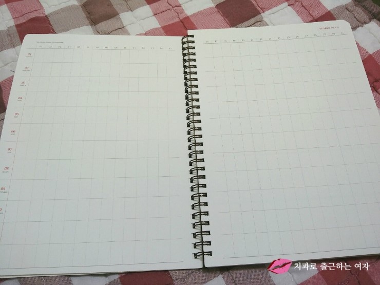 2016년 큰 다이어리 구입, 스프링 다이어리 + 아이코닉 데코펜 세트 관련 이미지 5