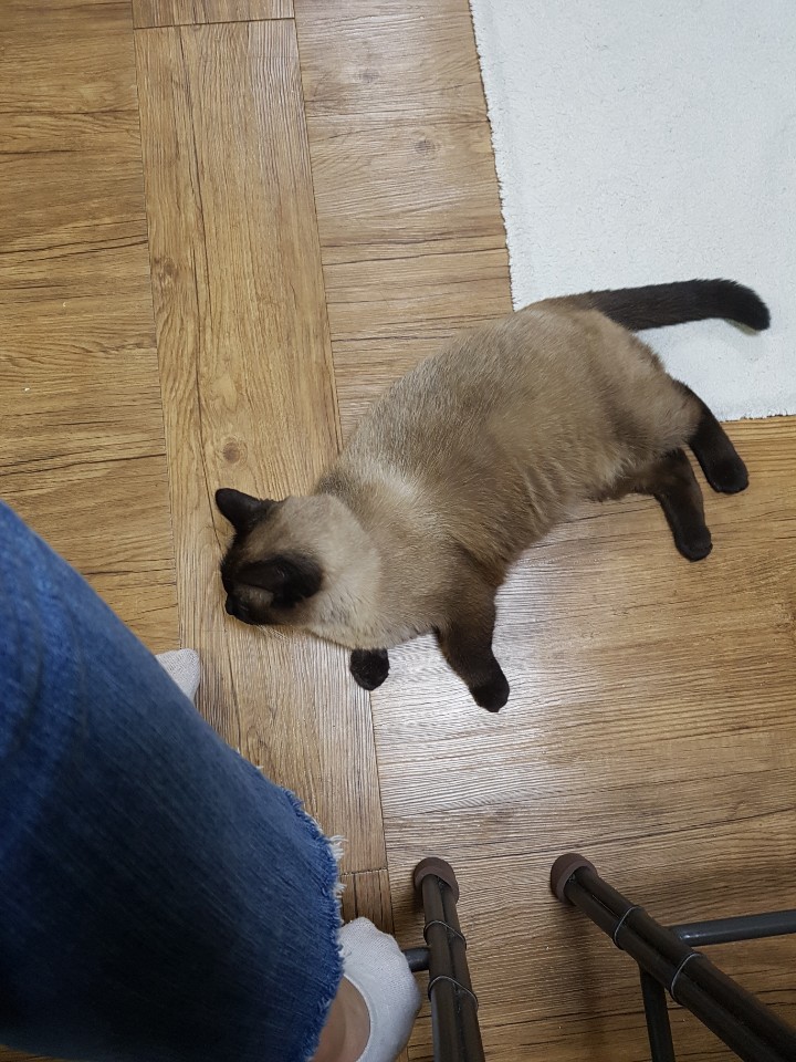 제주도 애월 게스트하우스 "웰빙" - 시간이 지나도 잊혀지지 않는 곳 관련 이미지 11