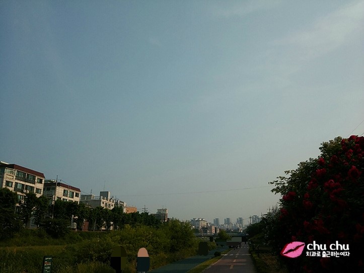 #나의 하루 #산책 #애슐리 #스타벅스돌체라떼 관련 이미지 1