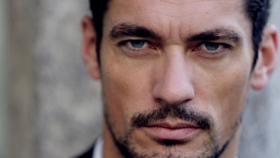 세상에서 가장 섹시한 남자, 데이비드 간디 (David James Gandy) 관련 이미지 7