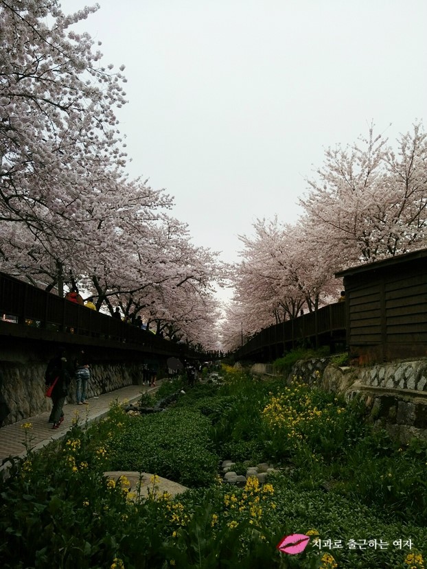 서울에 왜 없을까? 창원 바보형제쭈꾸미, 숯발향+매콤함+세트구성 최고! 관련 이미지 11