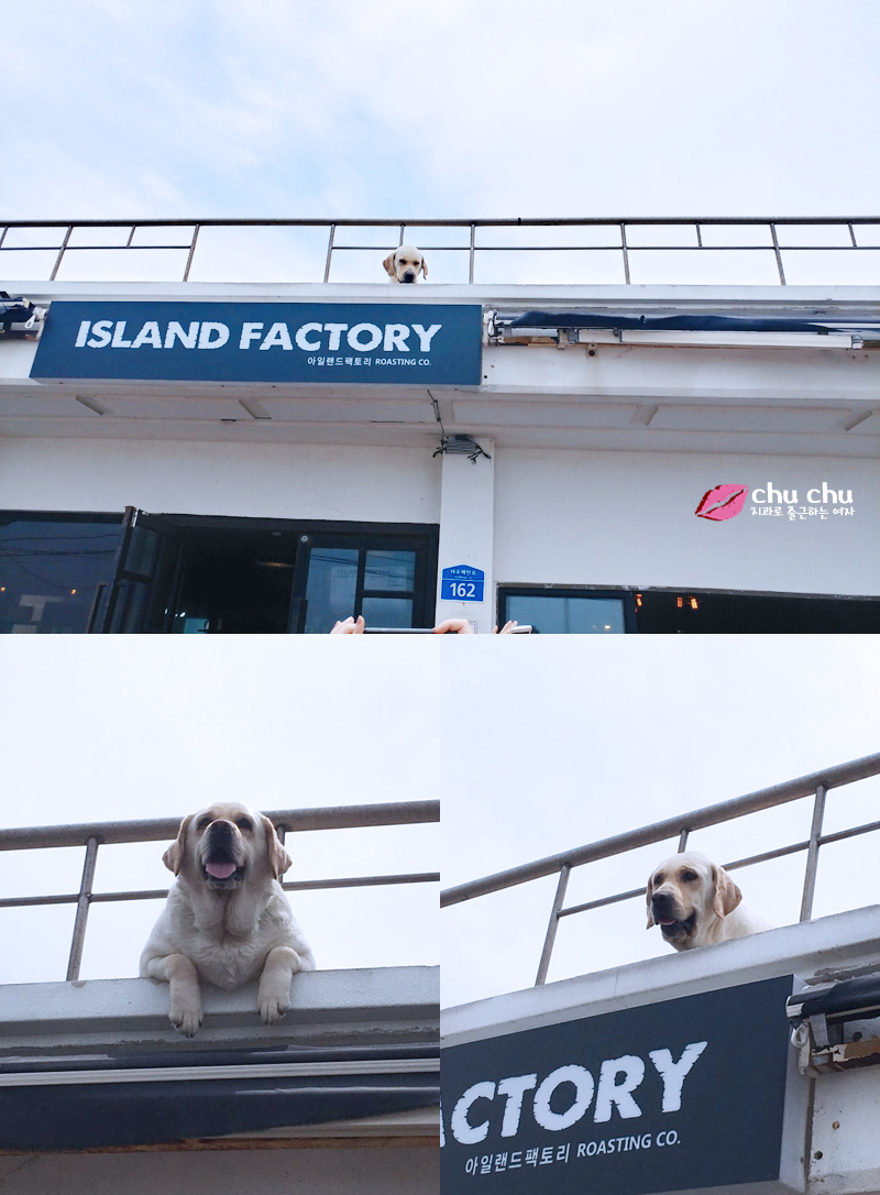 연세굿데이치과 5주년 기념 제주도 워크샵 관련 이미지 33