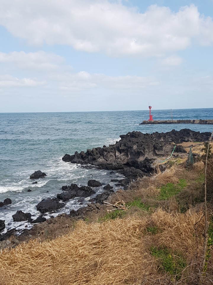 제주도 애월 게스트하우스 "웰빙" - 시간이 지나도 잊혀지지 않는 곳 관련 이미지 24