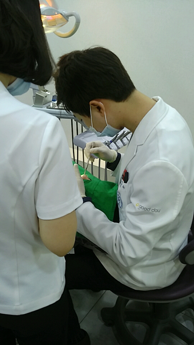 오늘은 양재점 야간진료가 있는 날 :) 관련 이미지 2