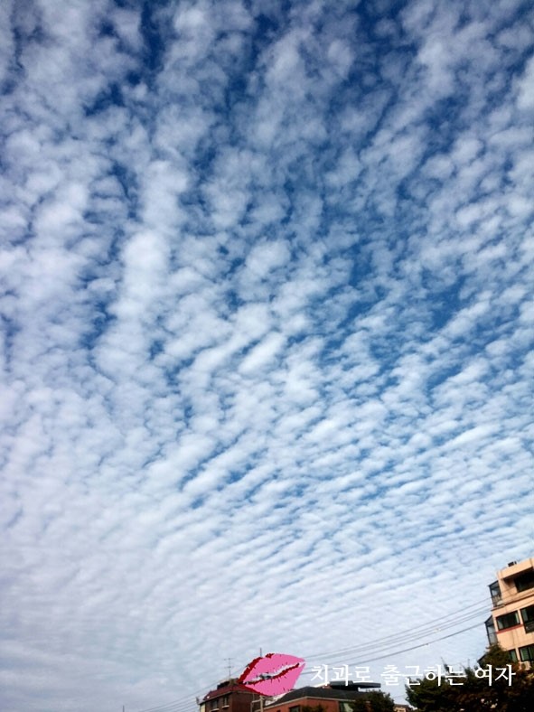 추석 연휴 마지막날은 여유롭게 산책하기로 마무리 :) 관련 이미지 1