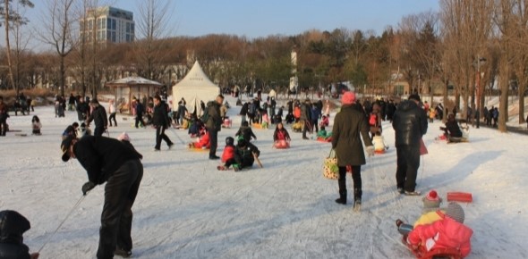 서울 도심 속 썰매장&스케이트장 이용시간이랑 비용 총정리해봤어요 ㅎ 관련 이미지 8