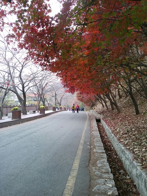 소요산 단풍축제 한대요 ^^ ( 저는 작년에 다녀왔어욤 ㅎ ) 관련 이미지 1