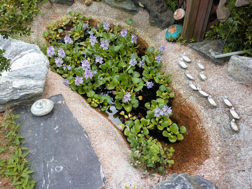 안산 대부도 커피숍 <커피정원 cafe> 관련 이미지 16