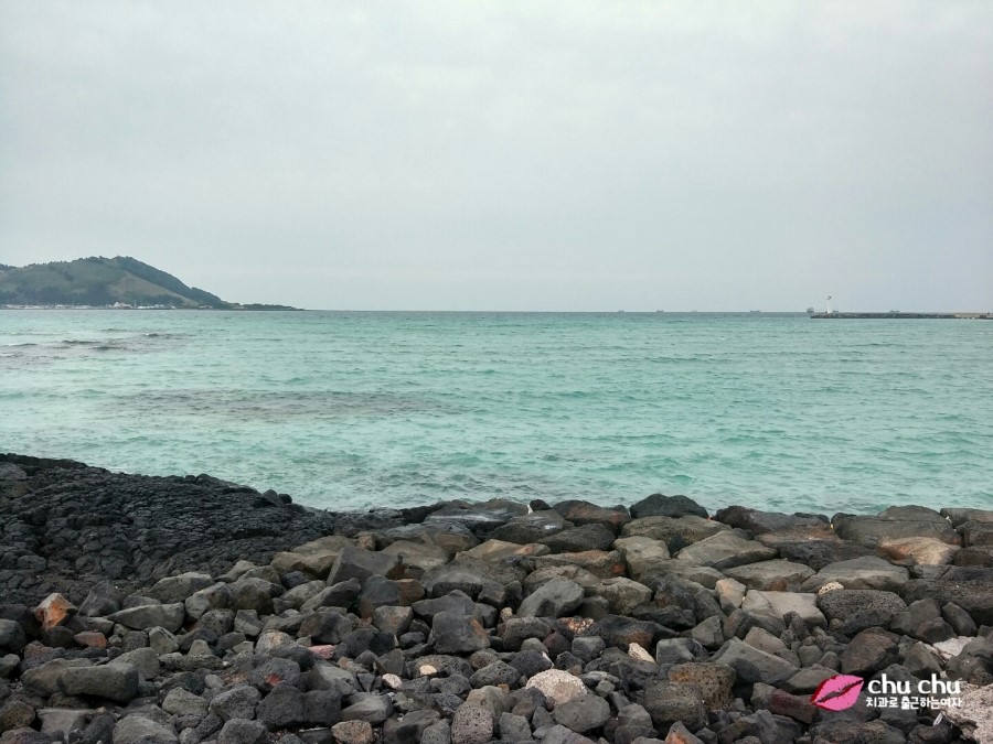 제주 게스트하우스 추천 "뿌리게스트하우스" + "뿌떡" (제주올레13길 게스트하우스) 관련 이미지 2