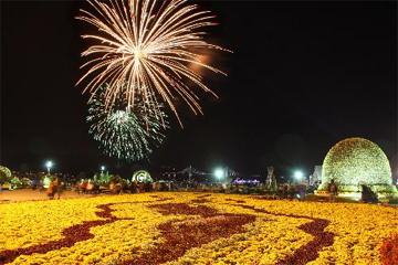 작년에 다녀온 마산가고파국화축제 + 마창대교카페 관련 이미지 3