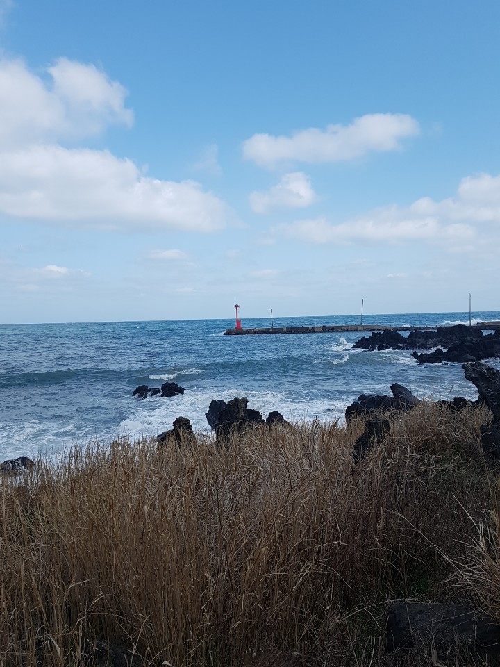 제주도 애월 게스트하우스 "웰빙" - 시간이 지나도 잊혀지지 않는 곳 관련 이미지 23