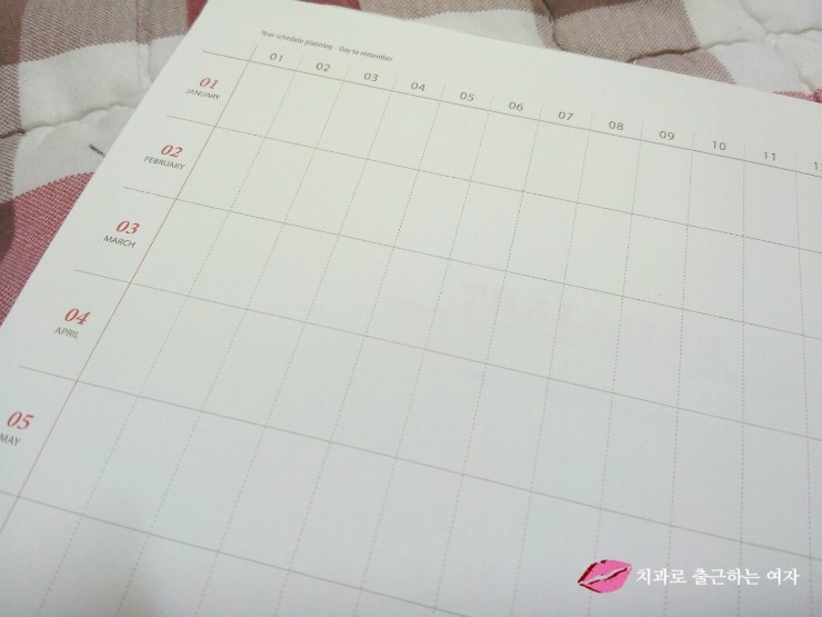 2016년 큰 다이어리 구입, 스프링 다이어리 + 아이코닉 데코펜 세트 관련 이미지 6