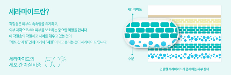 겨울보습크림 추천 관련 이미지 6