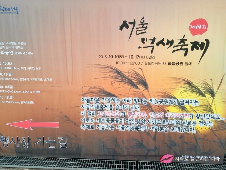 서울가을축제 - 상암동 하늘공원 서울억새축제, 엄마랑 데이트 했어욤 &hearts; 관련 이미지 3