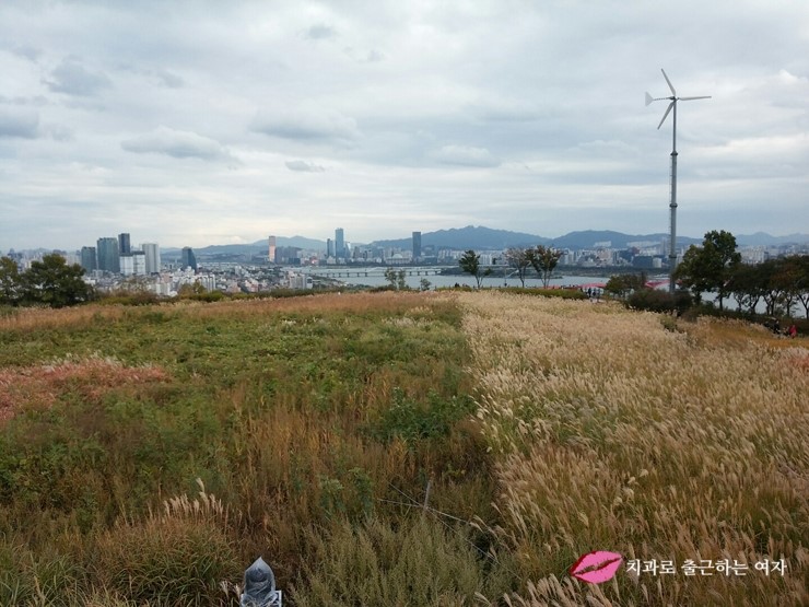 서울가을축제 - 상암동 하늘공원 서울억새축제, 엄마랑 데이트 했어욤 ♥ 관련 이미지 12