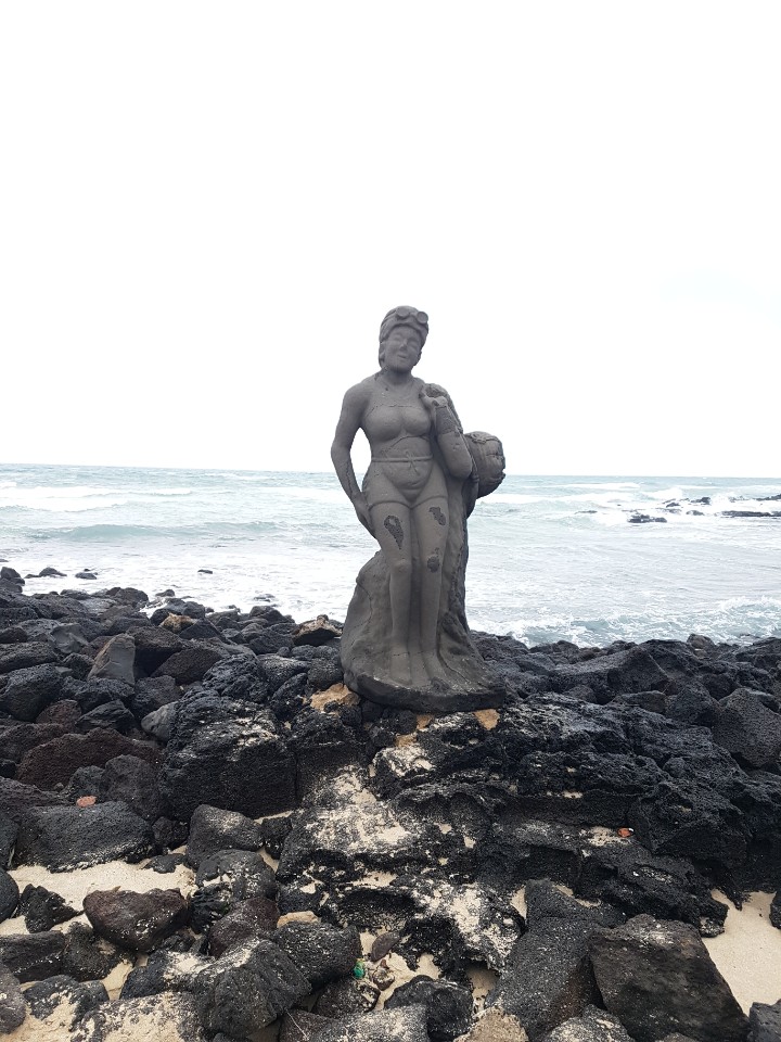 제주도 애월 게스트하우스 "웰빙" - 시간이 지나도 잊혀지지 않는 곳 관련 이미지 20