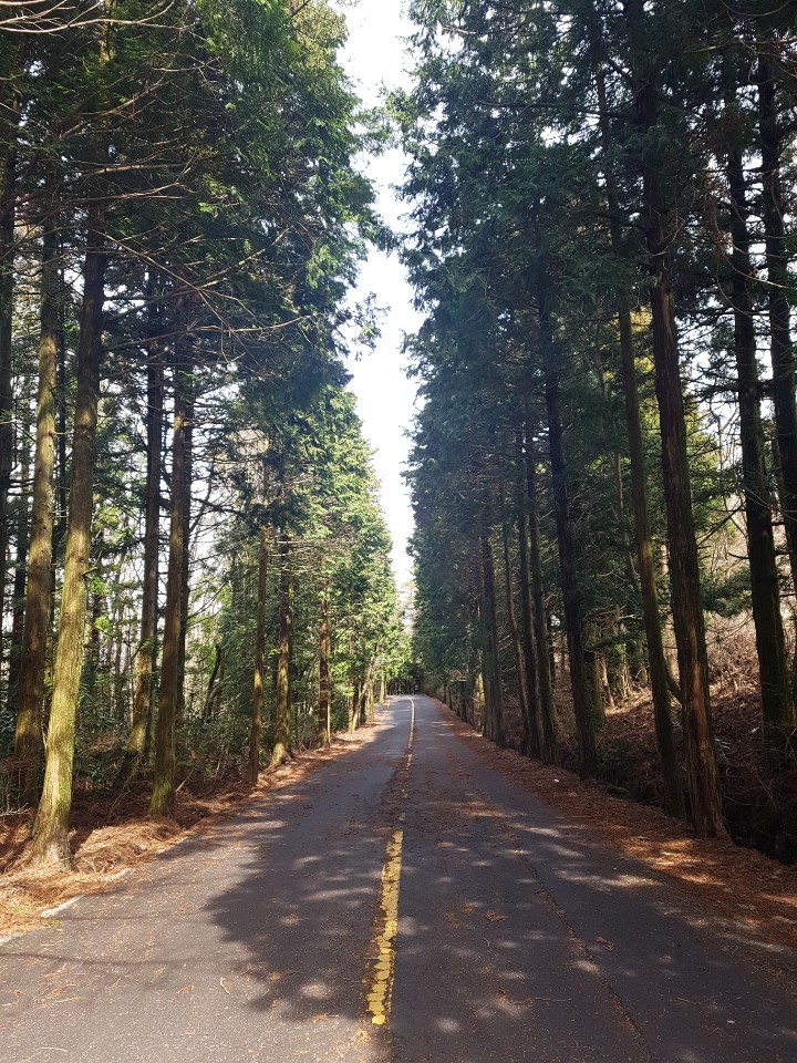 제주도 애월 게스트하우스 "웰빙" - 시간이 지나도 잊혀지지 않는 곳 관련 이미지 18