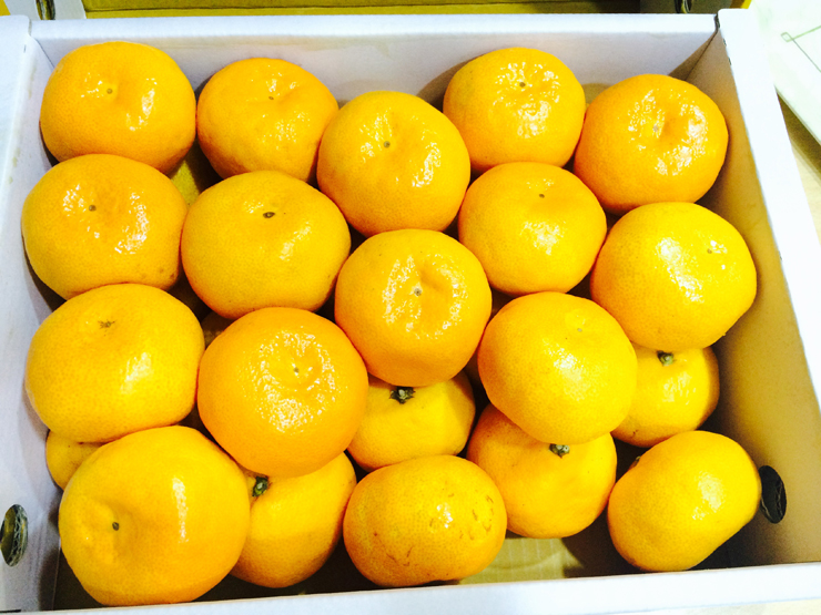 선물로 받은 밀감 &hearts; 밀감 효능도 알아봤어요 ㅎㅎ 관련 이미지 2