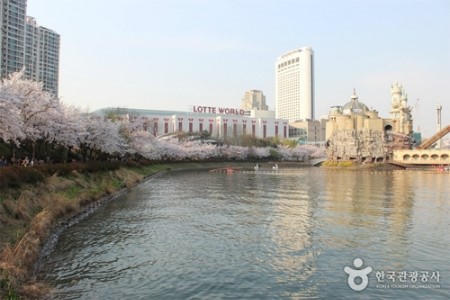어디로 봄꽃구경 갈까요? 4월 봄꽃축제 일정, 기간 알아봐요 :) 관련 이미지 21