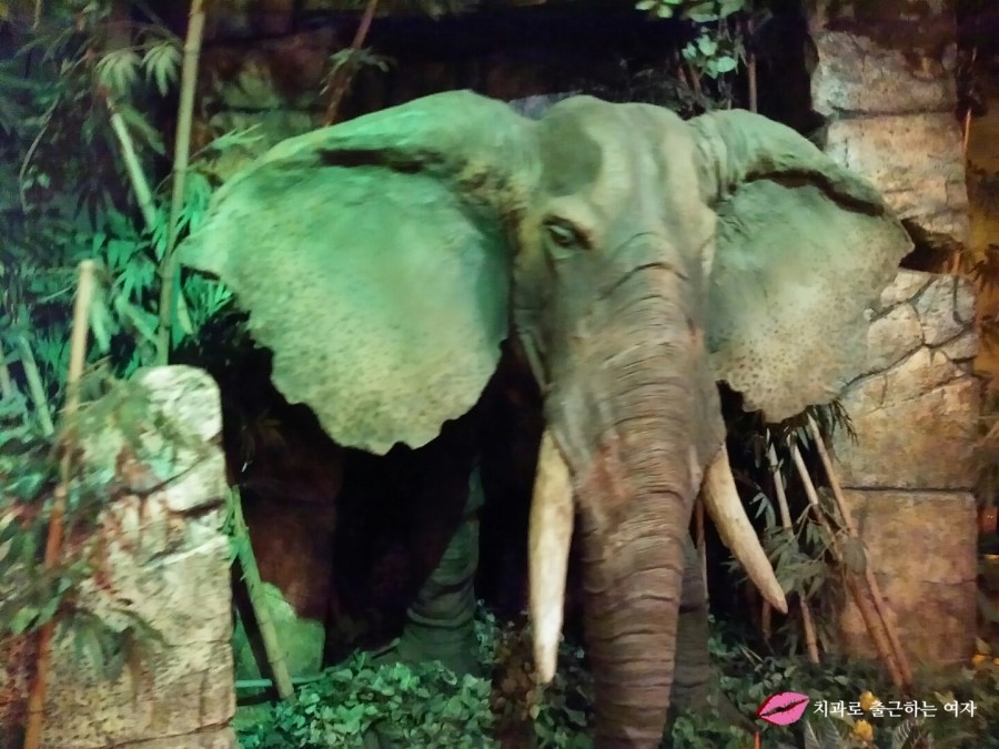 오랜만에 간 롯데월드 야간, 꿀잼 ★ 2016년 2월 롯데월드 할인정보 참고!! 관련 이미지 8