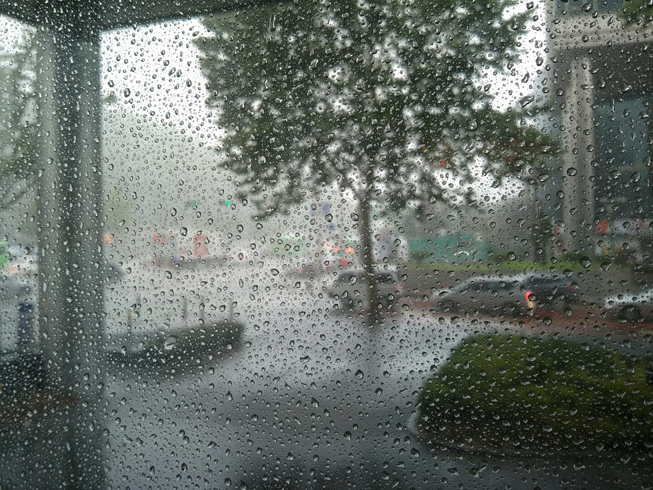 갑자기 하늘에 구멍이 난 듯 쏟아진 소나기 >.< 관련 이미지 2