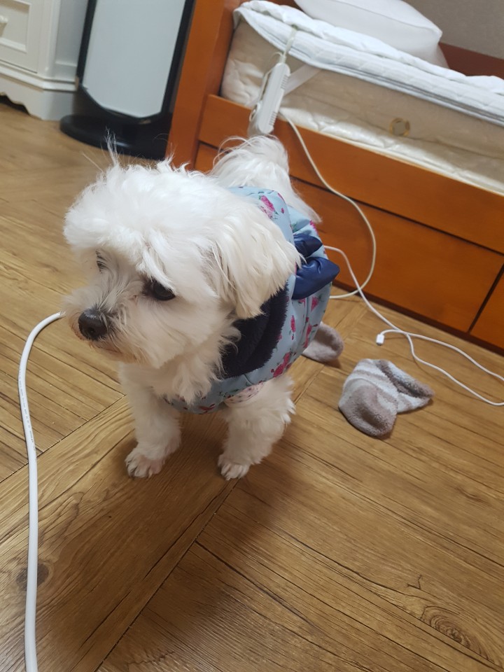 제주도 애월 게스트하우스 "웰빙" - 시간이 지나도 잊혀지지 않는 곳 관련 이미지 10