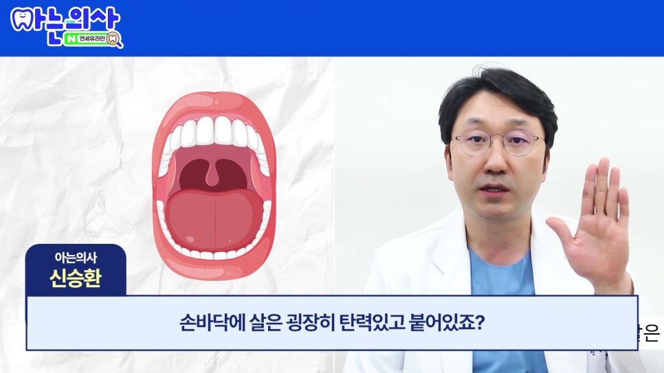 가락시장역치과 - 틀니가 불편한 진짜 이유 관련 이미지 4