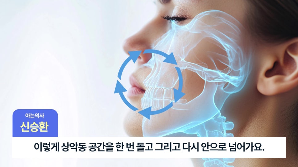 Songpa-gu Dental Implants: Is Sinus Lift Surgery Necessary? image 6
