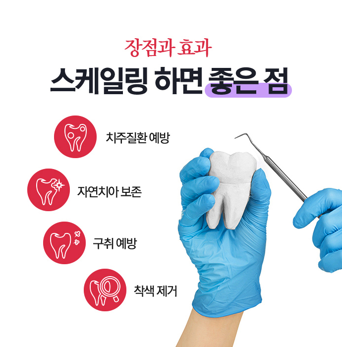 강남역 스케일링 일년에 한두번은 치과에서 관련 이미지 3