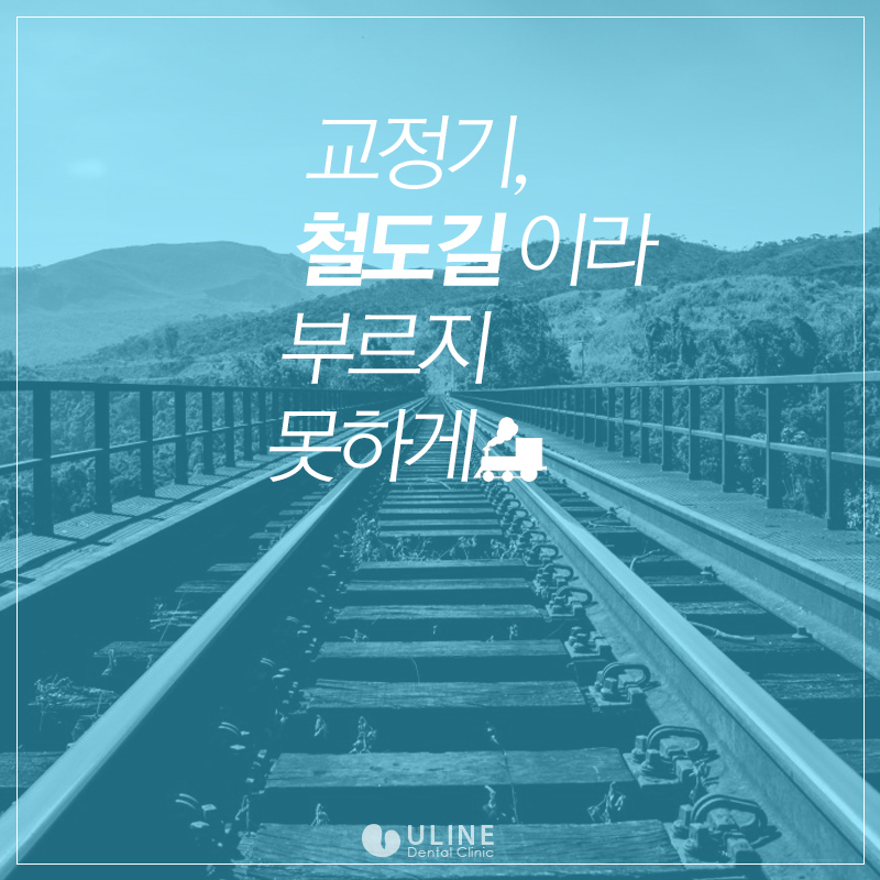 콤비교정비용 효율성 넘나조하! 관련 이미지 1