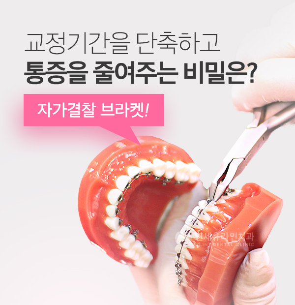 서초동치과 건강과 아름다움을 갖춘 치아 관련 이미지 5
