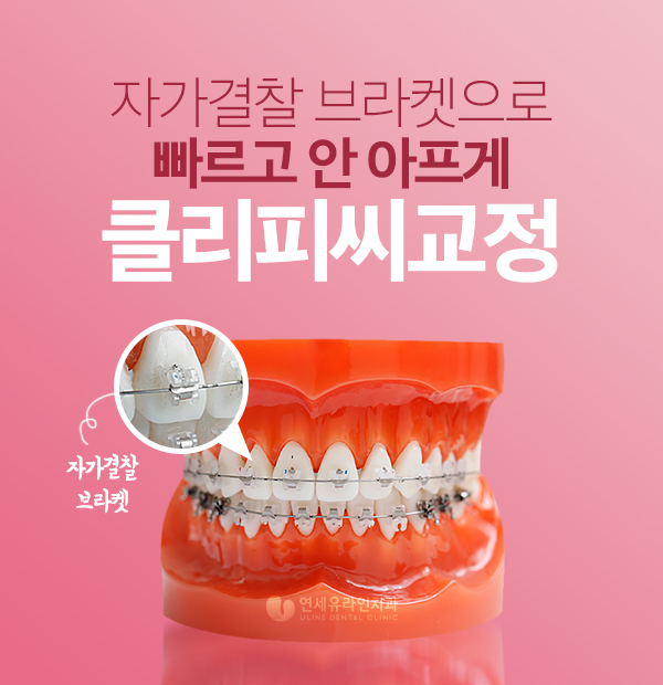 서초동치과 건강과 아름다움을 갖춘 치아 관련 이미지 1