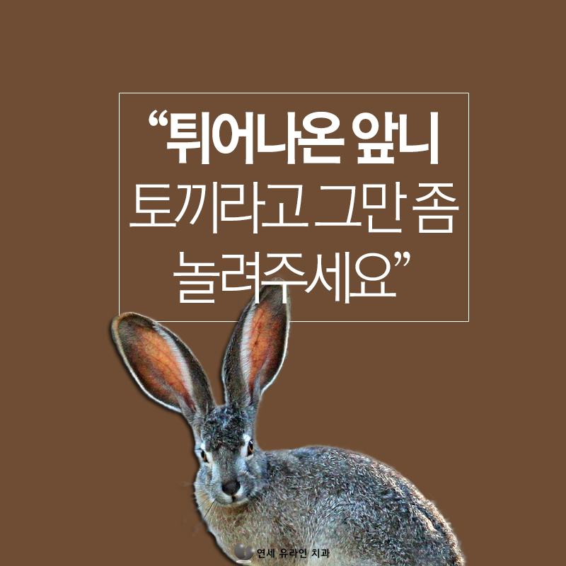 벌어진앞니교정 콤플렉스 빠이! 관련 이미지 6
