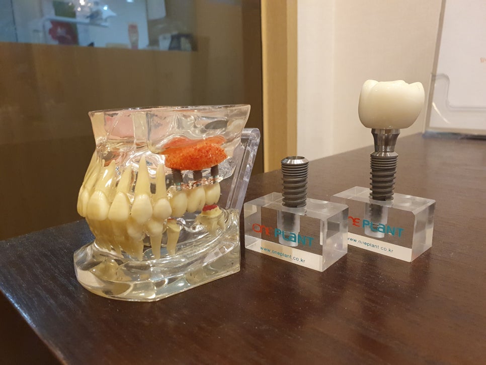 문정역치과 되돌아가고싶은 마음 관련 이미지 4