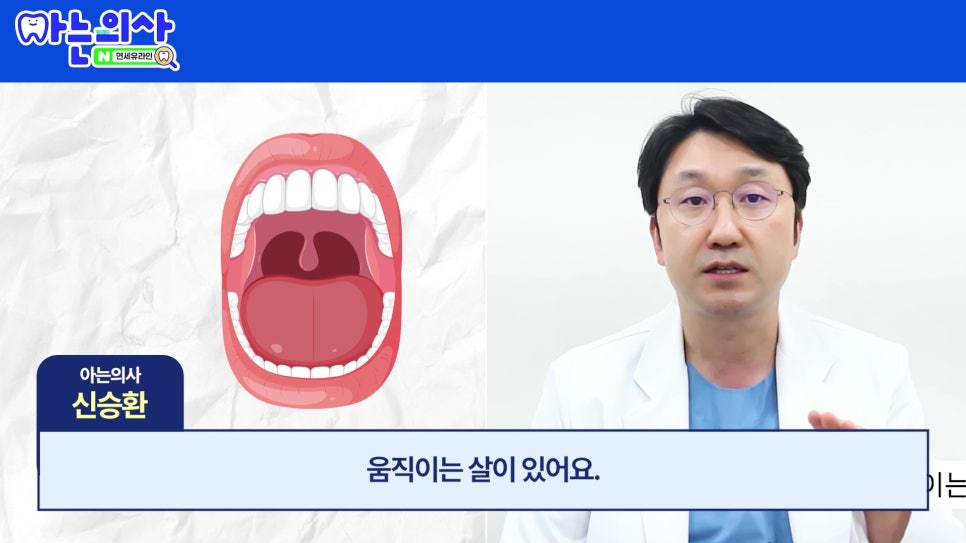 가락시장역치과 - 틀니가 불편한 진짜 이유 관련 이미지 3