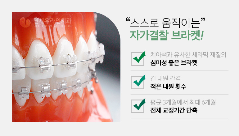 콤비교정가격 자신감을 회복했어요 관련 이미지 5
