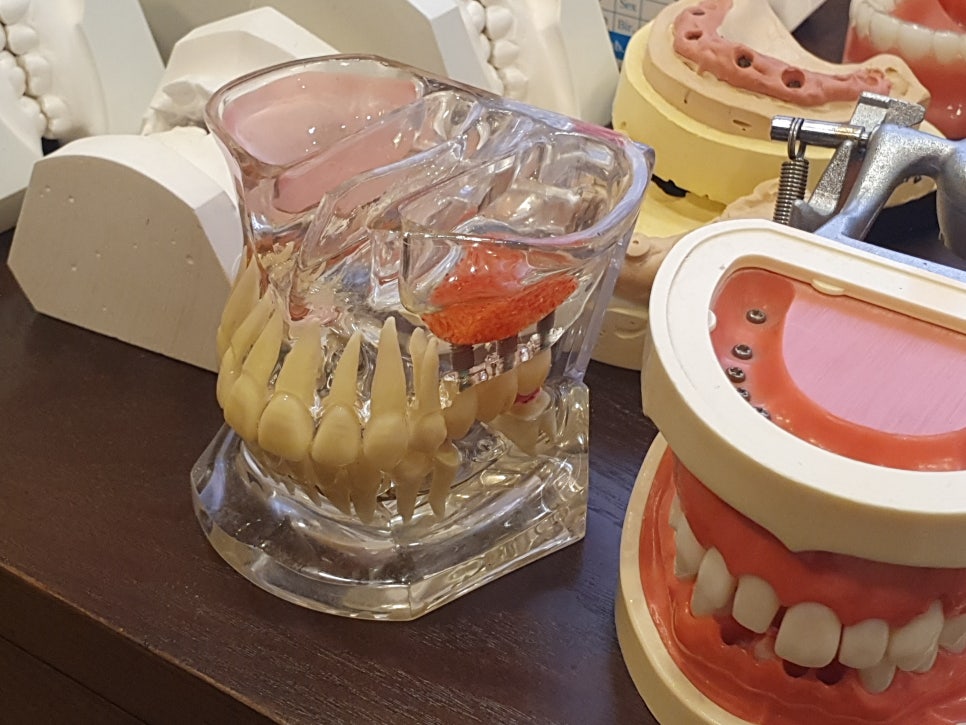 문정역치과 되돌아가고싶은 마음 관련 이미지 5