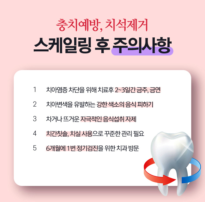 강남역 스케일링 일년에 한두번은 치과에서 관련 이미지 7