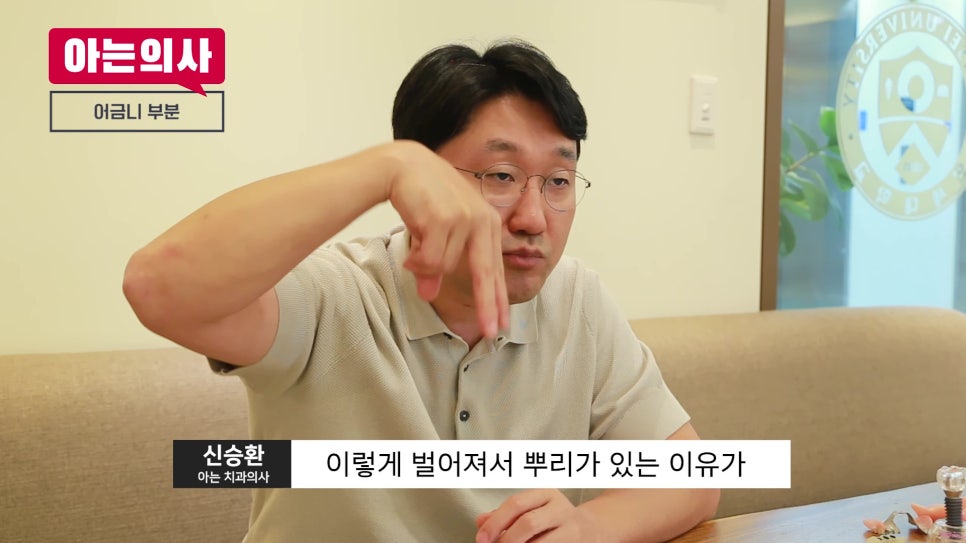 무치악, 임플란트 몇개 심어야 하지?! 관련 이미지 9