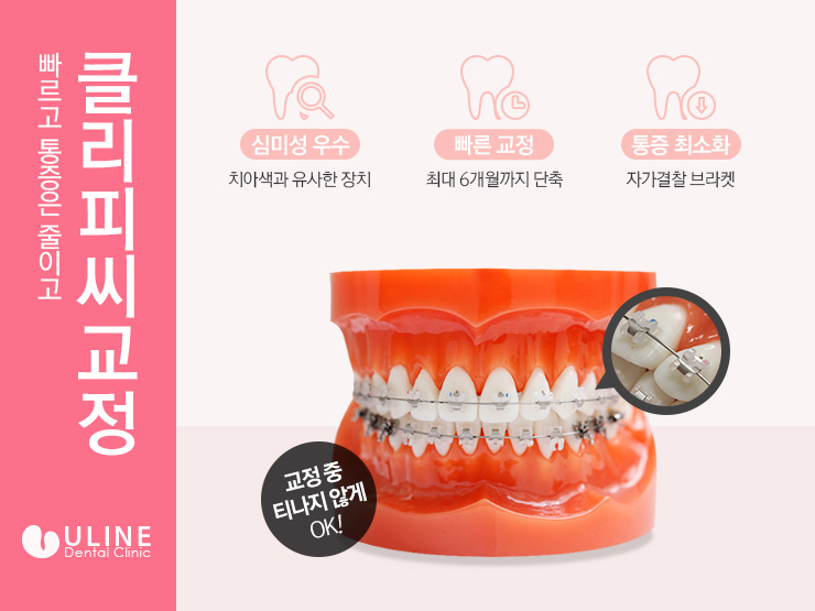 강남역치과 일석이조의 기쁨을 누리고 싶다면 관련 이미지 5