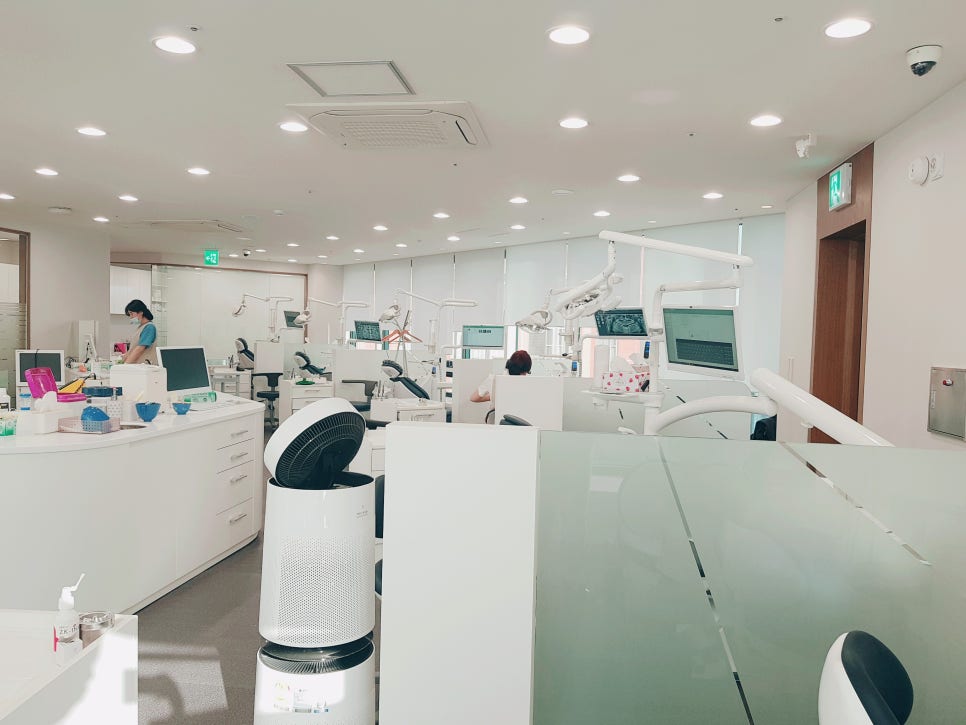 신논현역 스케일링 기초가 튼튼해야지만 관련 이미지 2