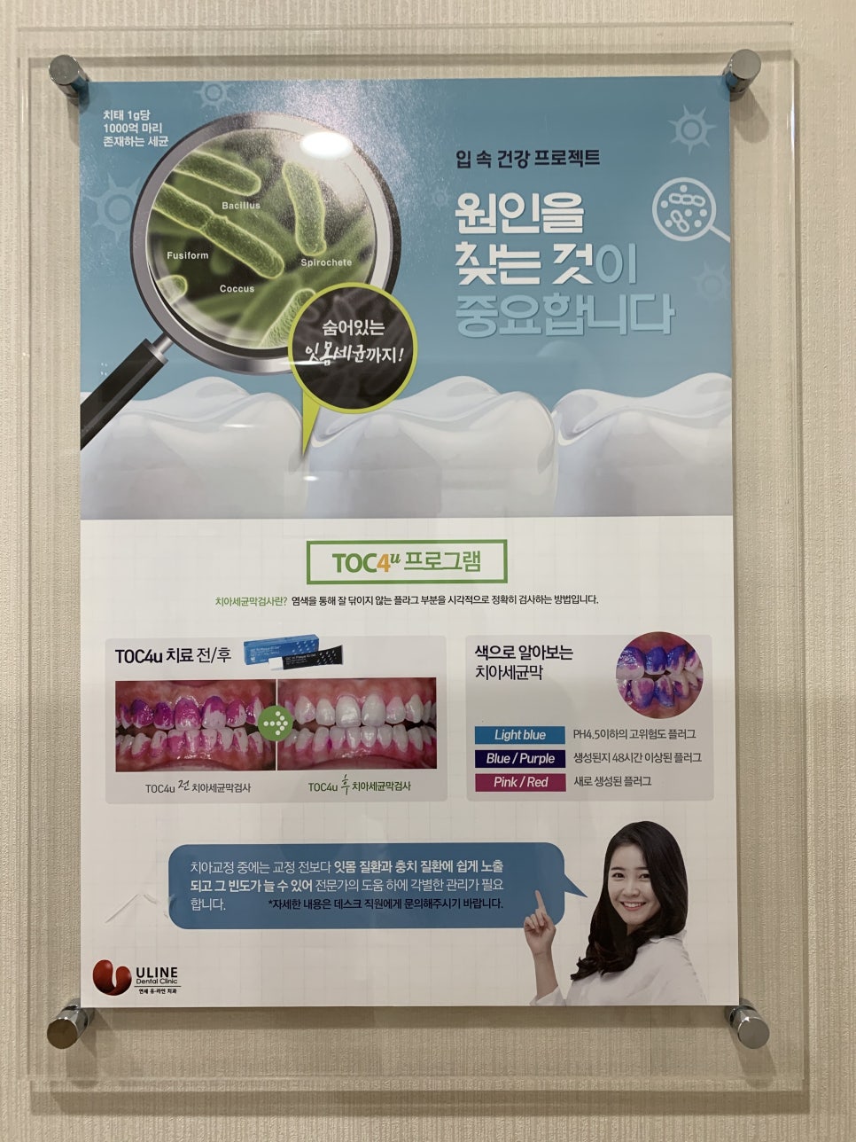 신논현역 스케일링 기초가 튼튼해야지만 관련 이미지 3