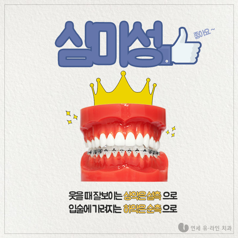 서울대입구역치과 교정장치 고민을 한번에! 관련 이미지 2