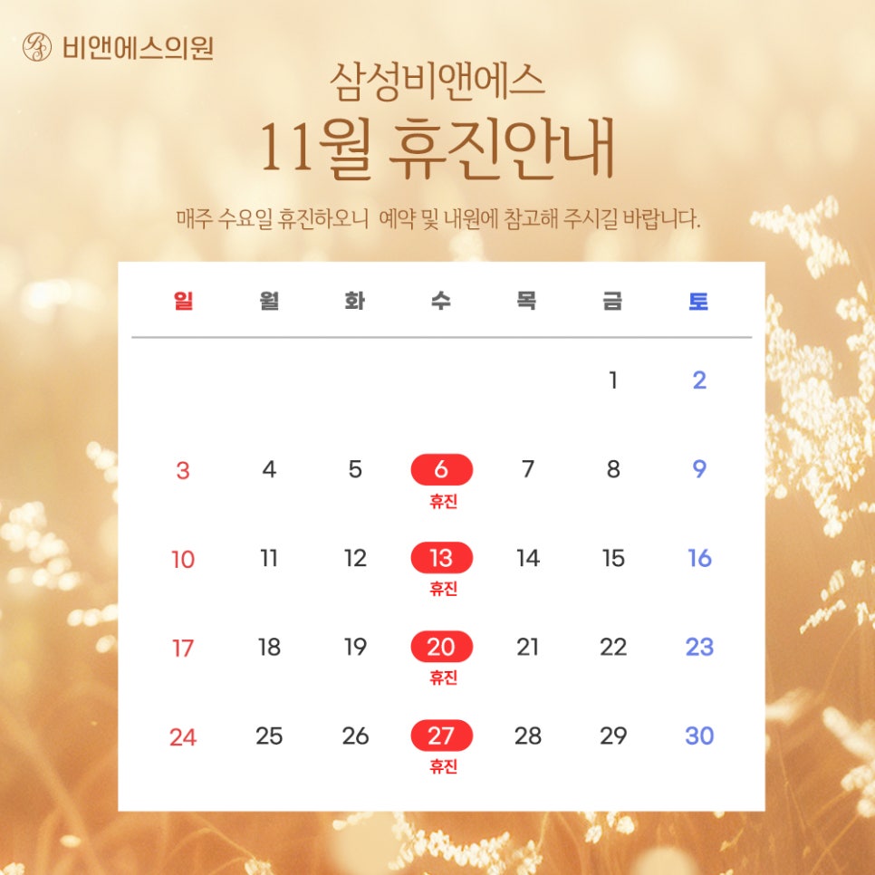 [진료안내] 24년 11월의 삼성비앤에스 진료 일정🍂 관련 이미지 1