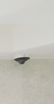 강남잼버실 팔자잼버 아이잼버 효과 어때요 관련 이미지 17
