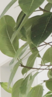 삼성역텐써마 리프팅 필요한 사람이라면 관련 이미지 25