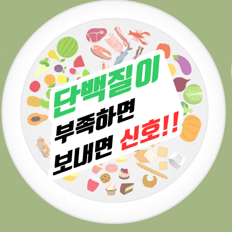 석플란트 건강정보 - 단백질이 부족하면 몸에서 보내는 신호!! 관련 이미지 1