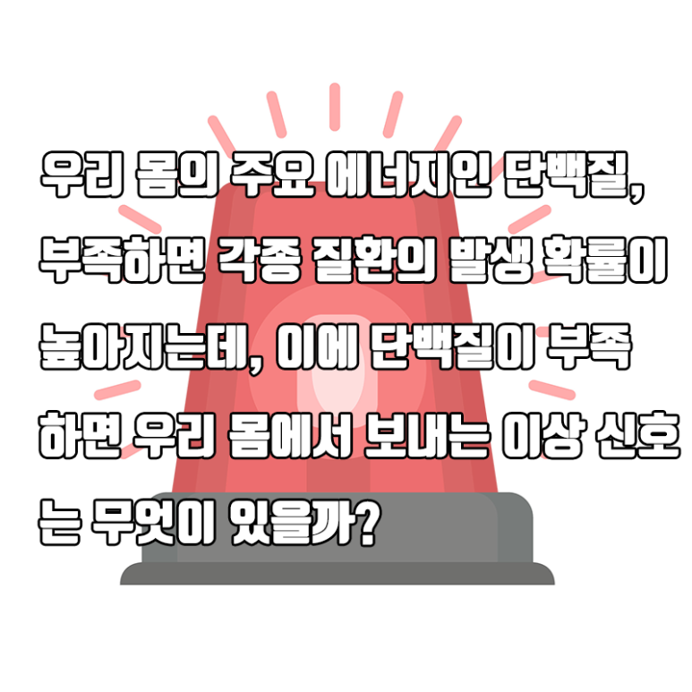 석플란트 건강정보 - 단백질이 부족하면 몸에서 보내는 신호!! 관련 이미지 2