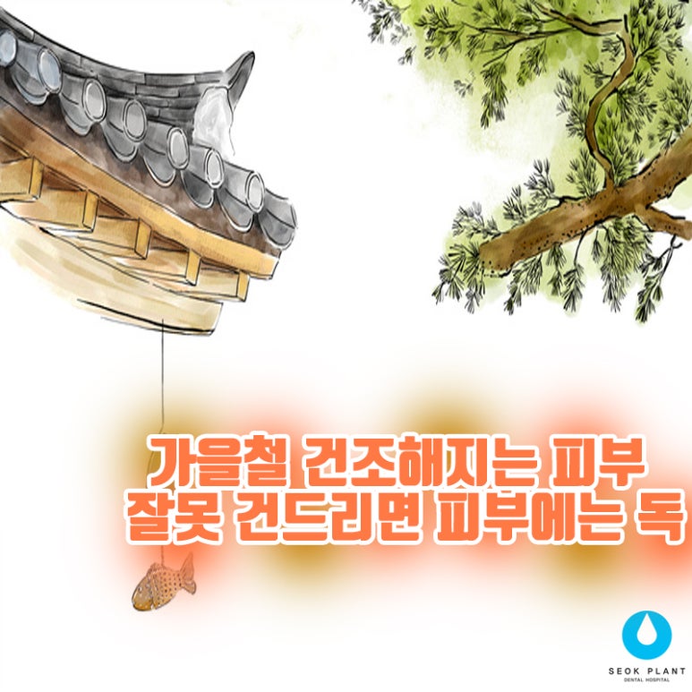 가을철 건조해지는 피부 잘못 건드리면 피부에는 독 관련 이미지 1