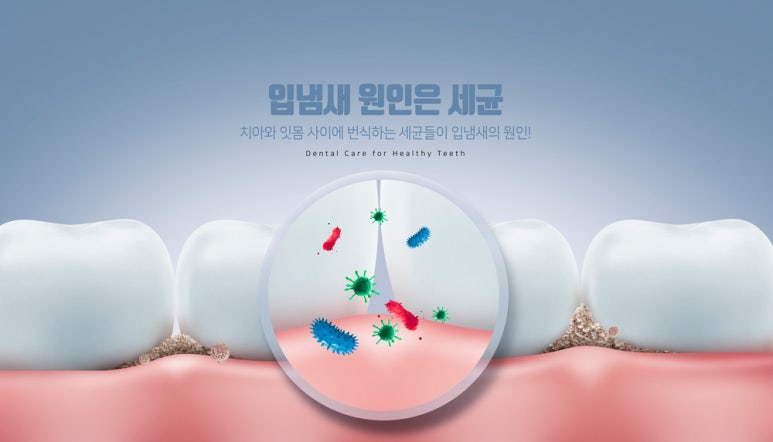 올바른 칫솔 선택과 관리법 관련 이미지 5